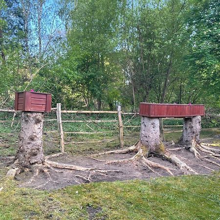U Gosi I Piotra Villa Lubin  Exteriör bild