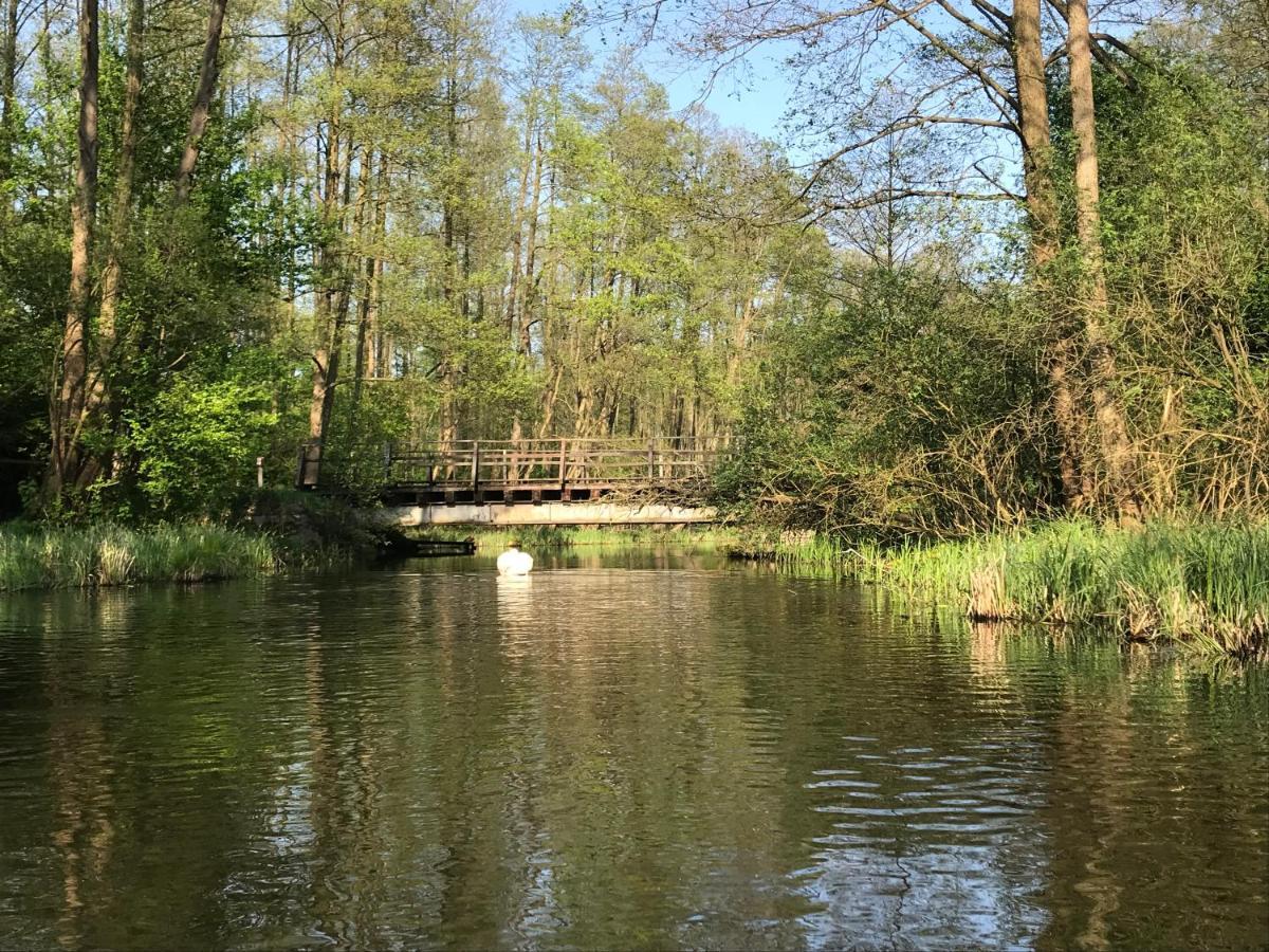U Gosi I Piotra Villa Lubin  Exteriör bild