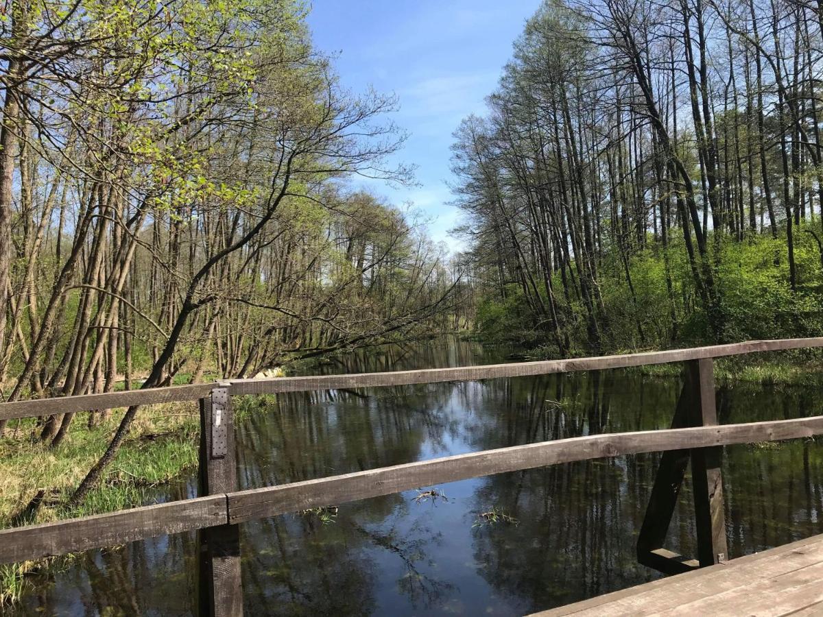 U Gosi I Piotra Villa Lubin  Exteriör bild