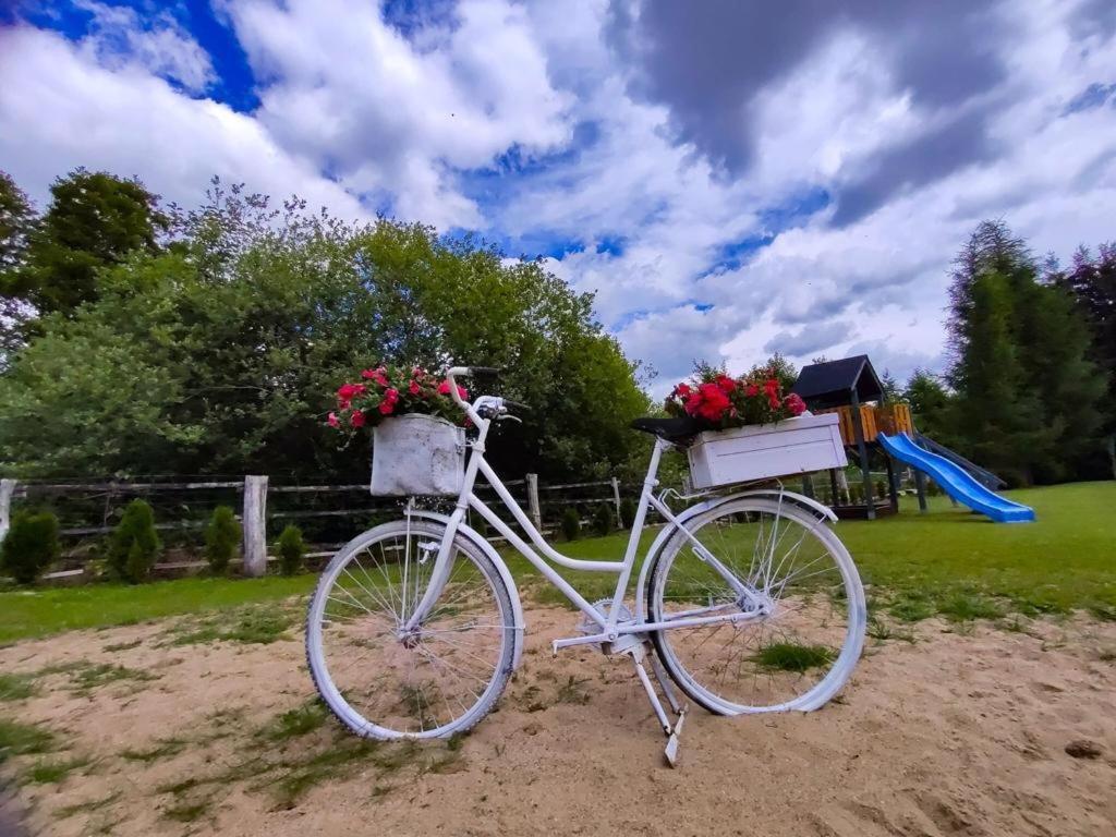 U Gosi I Piotra Villa Lubin  Exteriör bild