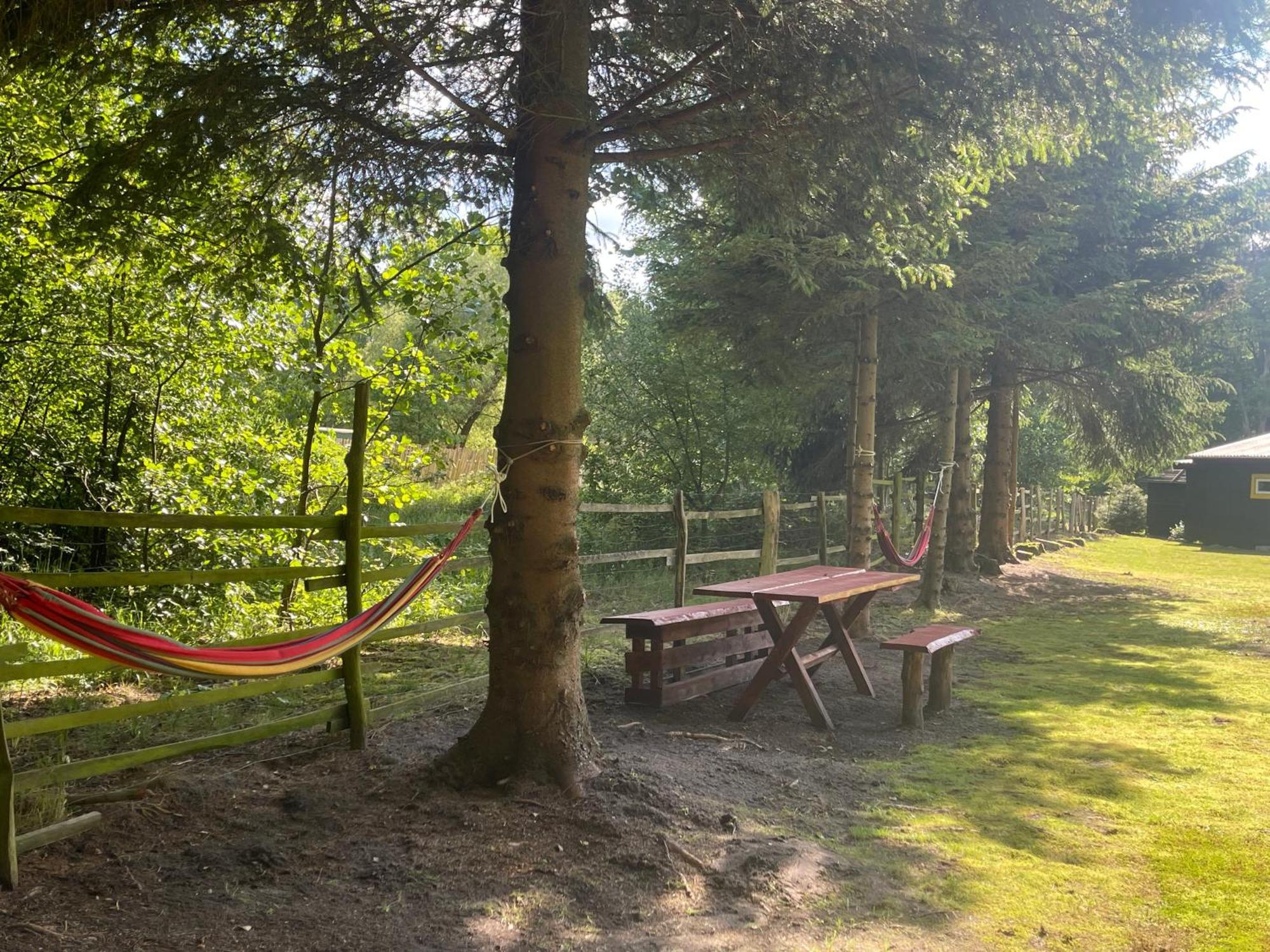 U Gosi I Piotra Villa Lubin  Exteriör bild